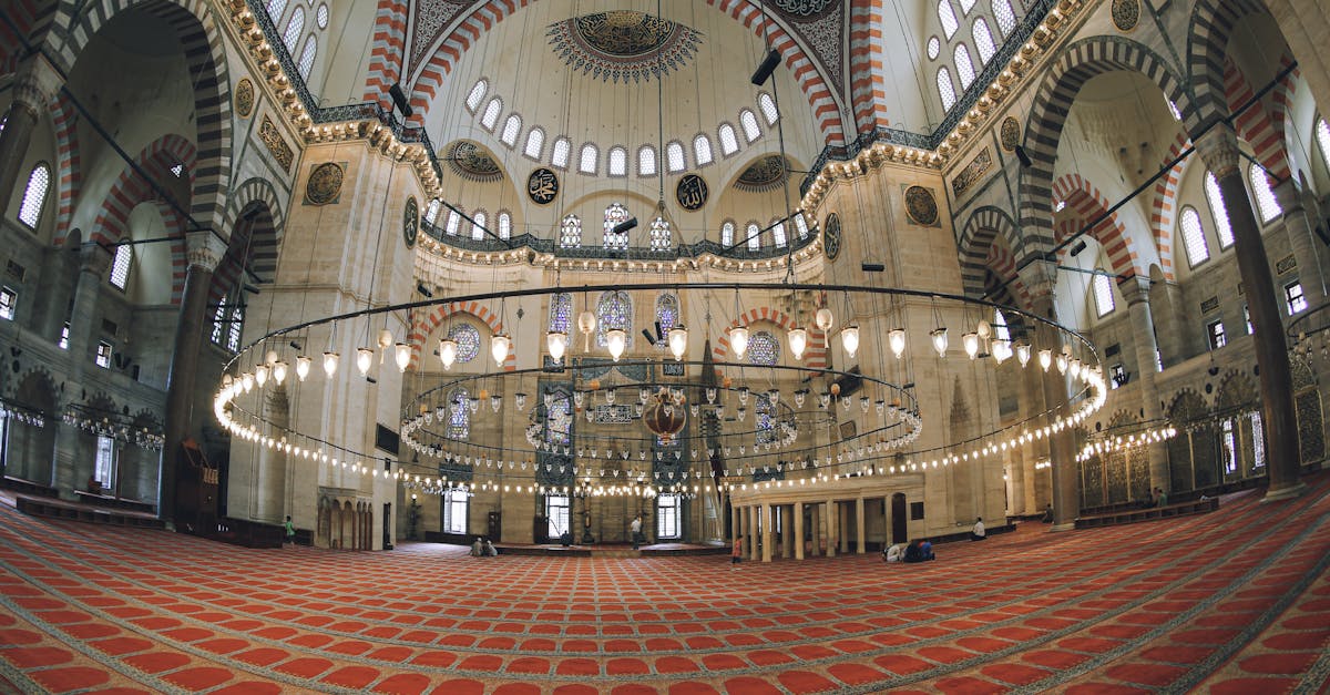 Wide-angle view of the stunning interior of the historic Süleymaniye Mosque in Istanbul, Turkey.